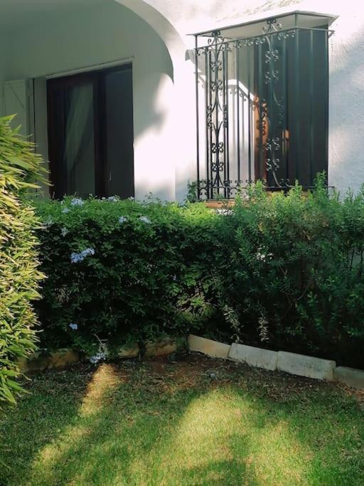 Studio Paris Apartment Estepona Exterior photo